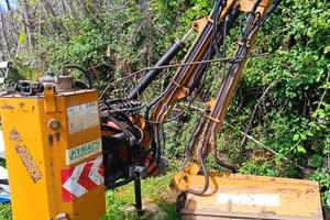 trincia decespugliatore a braccio