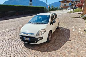 Fiat Punto Evo neopatentati 