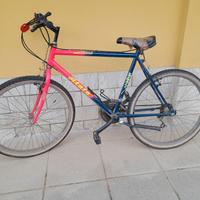 bicicletta montan bike