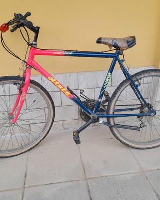bicicletta montan bike