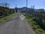Immagine 21