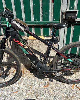 ebike Montana