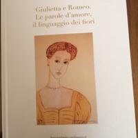 G Campolieti. Giulietta e Romeo Le parole d amore