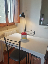 Confortevole e romantico, ben accetti pelosetti