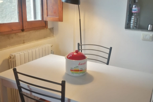 Confortevole e romantico, ben accetti pelosetti