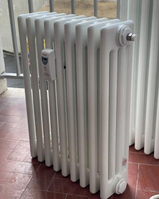 Radiatore in acciaio tubolare Zehnder