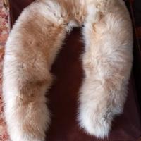 Elegante collo volpe bianca