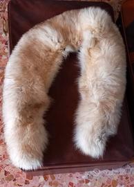 Elegante collo volpe bianca