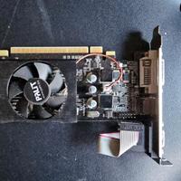 GEFORCE NVIDIA GT610 PALIT 2GB DDR3  PCI-E / HDMI