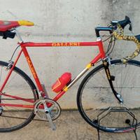 Gallesi corsa 