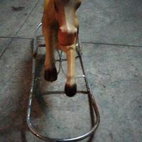 cavallo a dondolo anni 50/60