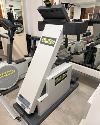 Technogym StepRace HC300