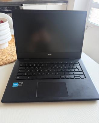 Acer Chromebook 314