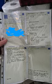 Telaio beverly 250 ANNO 2005