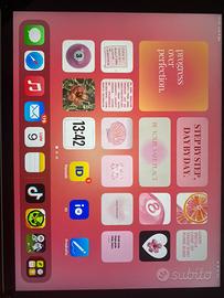 ipad pari al nuovo 9th generation