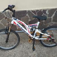 Mountain bike marca schiano