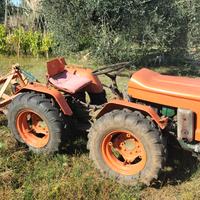 Trattore Goldoni 224 usato