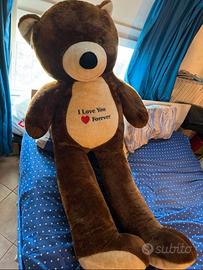 orso peluche