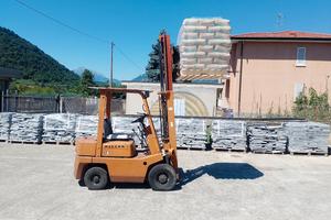 carrello elevatire