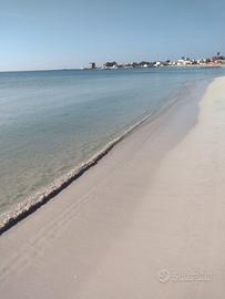 Porto cesareo a pochi passi dal mare