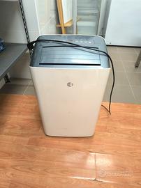 Pinguino condizionatore portatile 