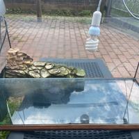 Acquario per tartarughe