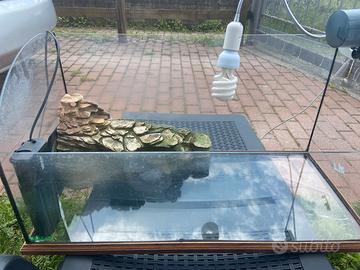 Acquario per tartarughe