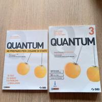 QUANTUM 3