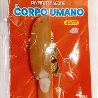 N. 42 Corpo Umano edizione 2024