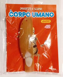 N. 42 Corpo Umano edizione 2024