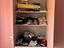 Immagine 6