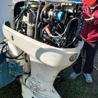 Evinrude E100FSL