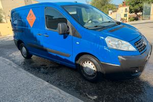 Fiat Scudo Omologato Trasporto Animali Vivi