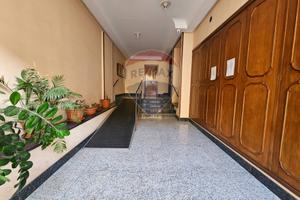 Commerciale Altro - Palermo