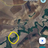 Terreno Agricolo a Maschito cda Cerentino