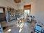 Immagine 10