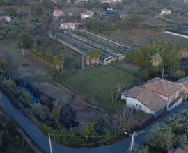 Terreno a Piedimonte Etneo