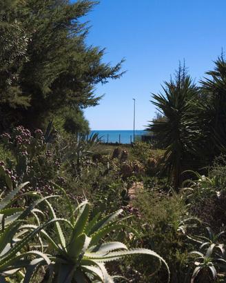 Villa vigata fronte mare anticaglie kaucana