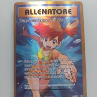 2 carte allenatore fuoriserie