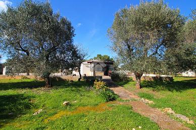 CASA DI CORTE A OSTUNI
