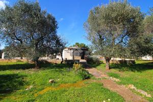 CASA DI CORTE A OSTUNI