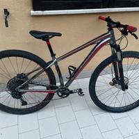 Mtb wendo o skambio gravel 29 Specialized Sram
