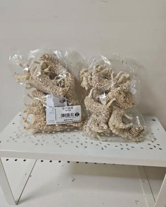 24 Pecore in Plastica per Presepe