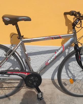 Bicicletta uomo con cambio