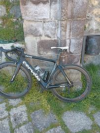 Cervello S5