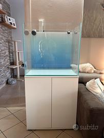 Acquario