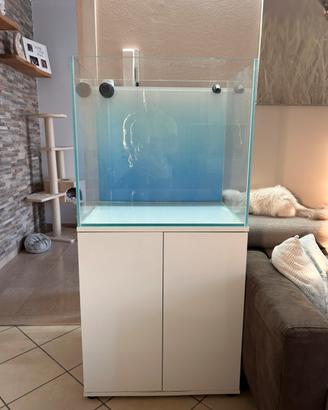 Acquario