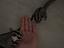 Immagine 4