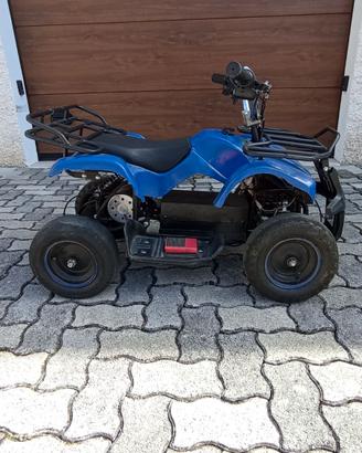 Quad con motore elettrico