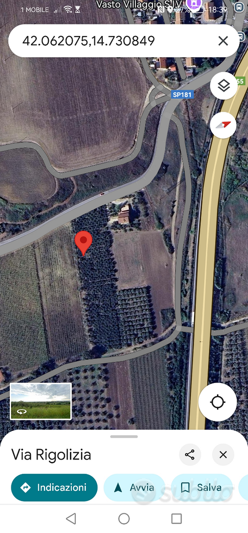 Terreno agricolo con oliveto - Vista 3